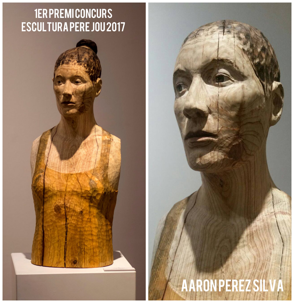 Aaron Pérez Silva - 1er Premio Escultura Pere Jou 2017