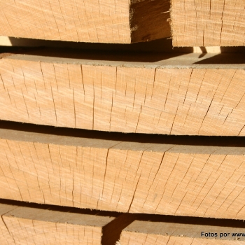 Fotos de madera_08