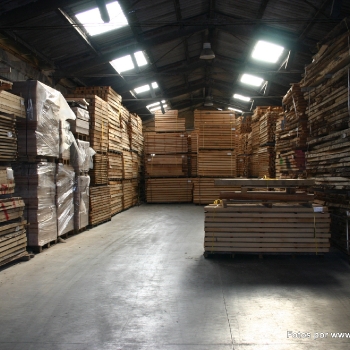 Fotos de madera_45