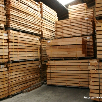 Fotos de madera_48