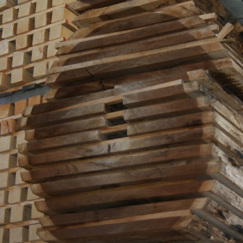 Fotos de madera_10