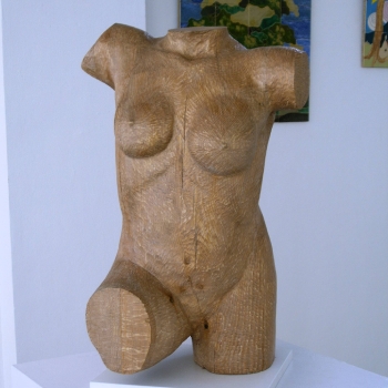 torso femenino