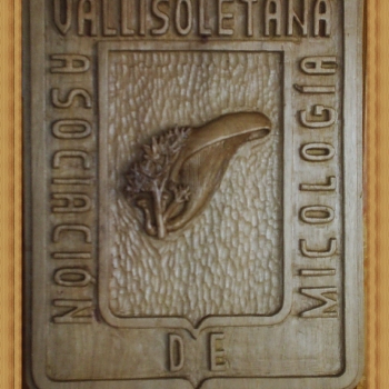 Escudo Asociacion Vallisoletana de Micologia, por 