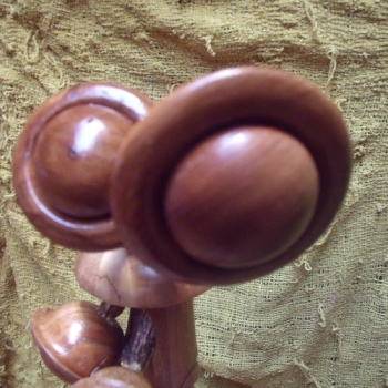 Tallas de Avelino