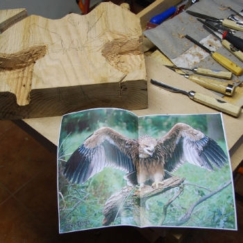 aguila en posición de ataque