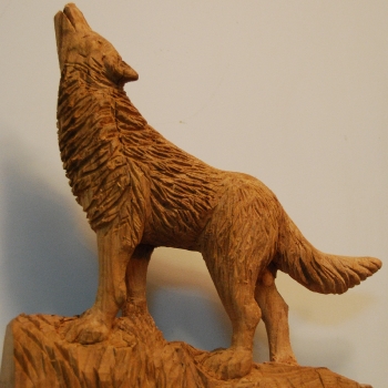 Lobo hablando con la luna