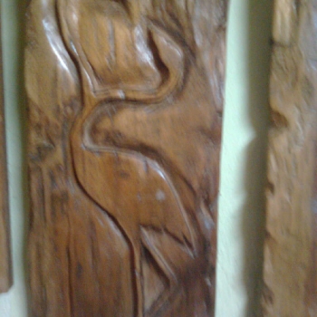 Tallas de Gio
