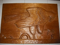 aguila culebrera