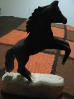 caballo