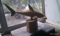 Tiburon Martillo