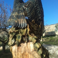 azor