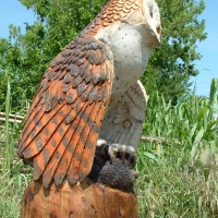 lechuza