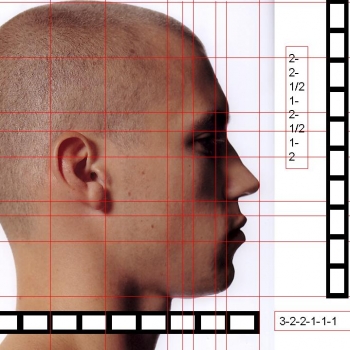 Proporciones rostro humano.