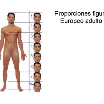 Proporciones figura humana.