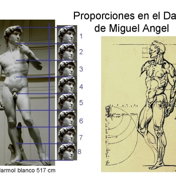 Proporciones figura humana.