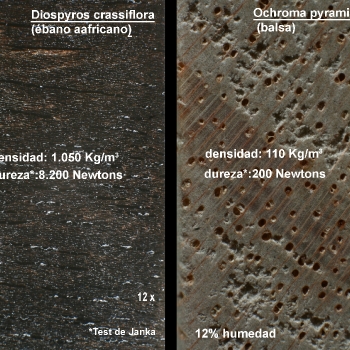 Ebano versus Balsa (maderas extremas)