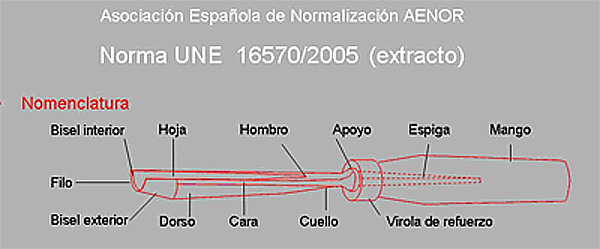 nomenclatura_gubia_aen